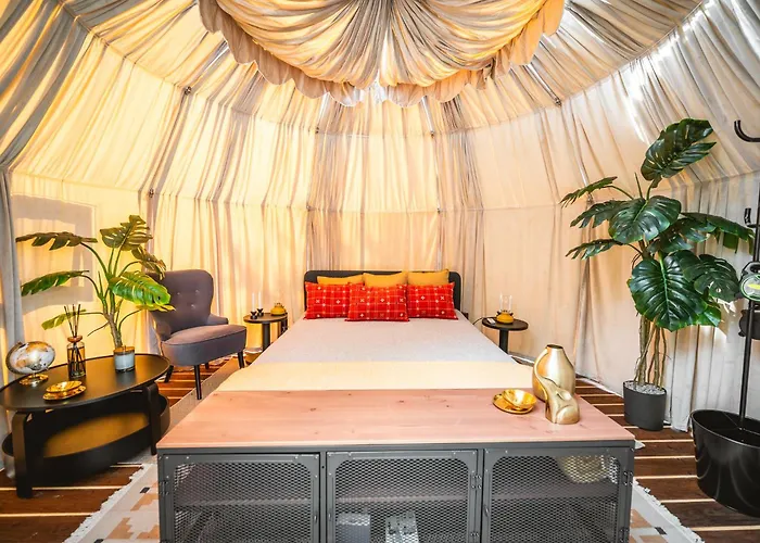 Sherlock Villa Zarnowiec